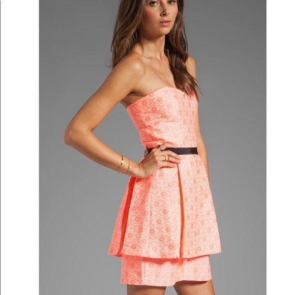 Dolce Vita Revolve Amica Tapestry Strapless Dress - Picture 3 of 10